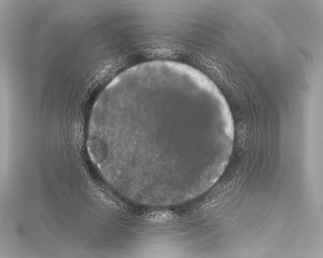 X0000115060642200912071152