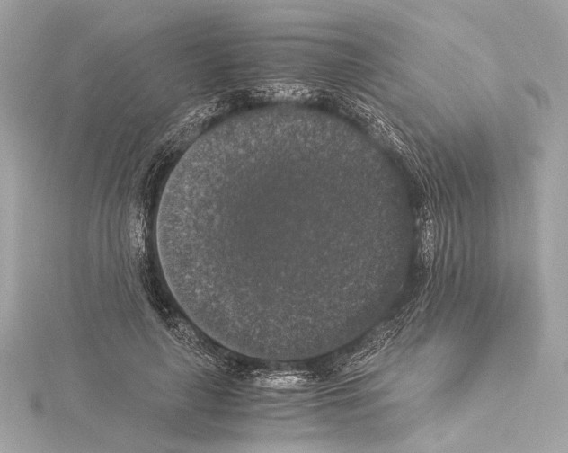 X0000115060643200912071152