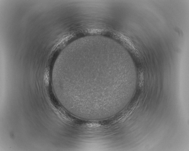 X0000115060644200912071152