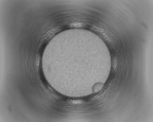 X0000115060645200912071152