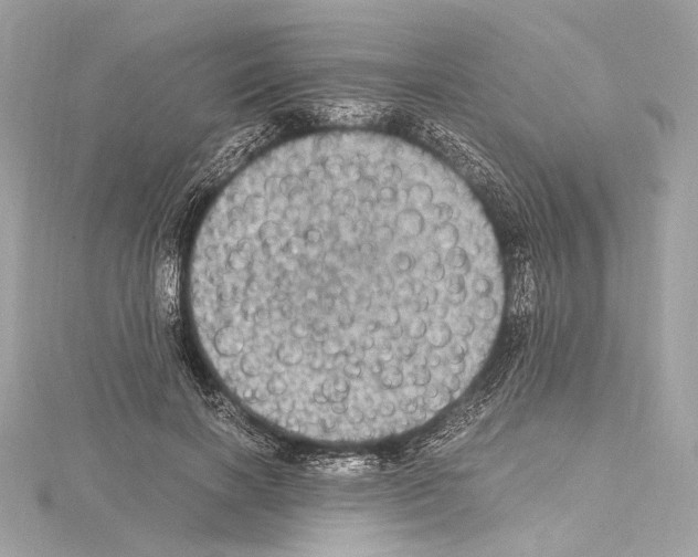 X0000115060646200912071152