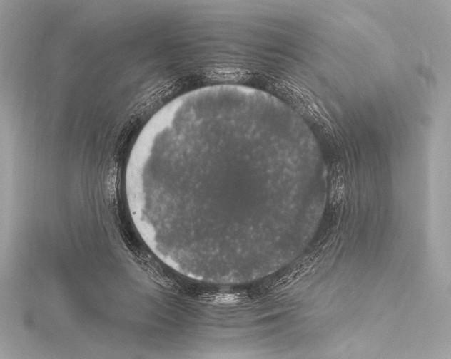 X0000115060647200912071152