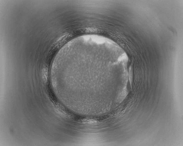 X0000115060648200912071152