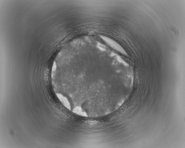 X0000115060650200912071152