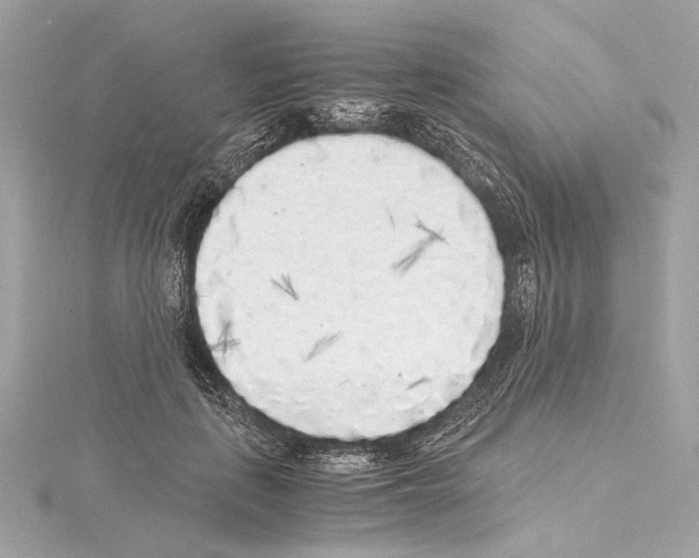 X0000115060651200912071152