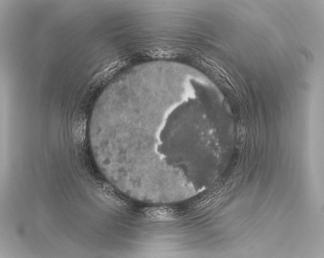 X0000115060652200912071152