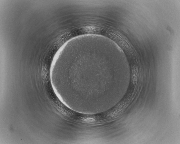 X0000115060653200912071152