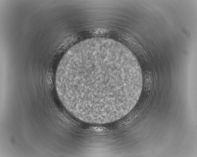 X0000115060654200912071152