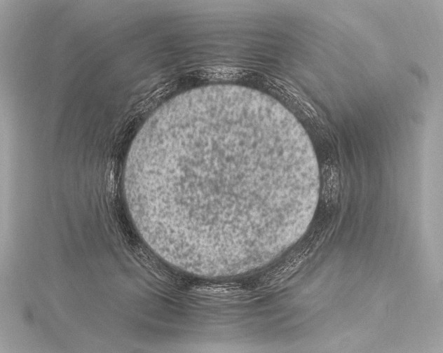 X0000115060655200912071152