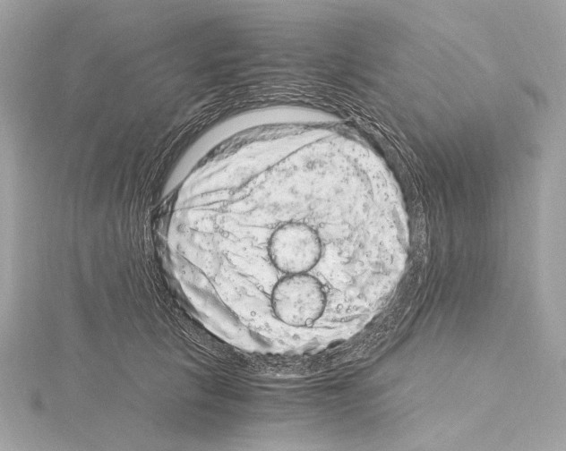 X0000115060657200912071152