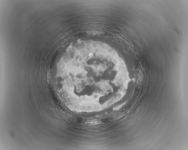 X0000115060659200912071152