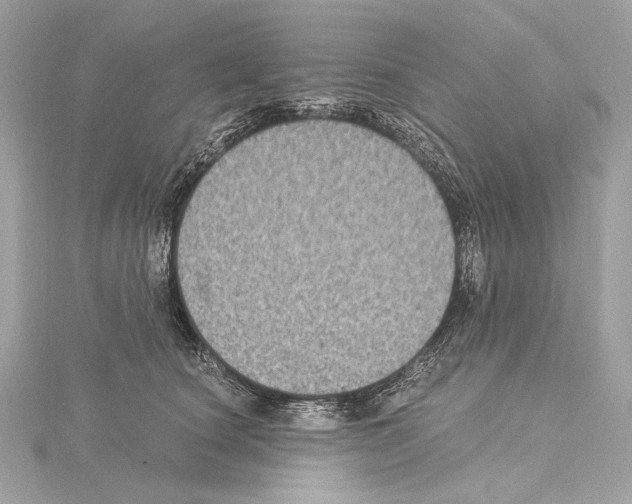 X0000115060660200912071152