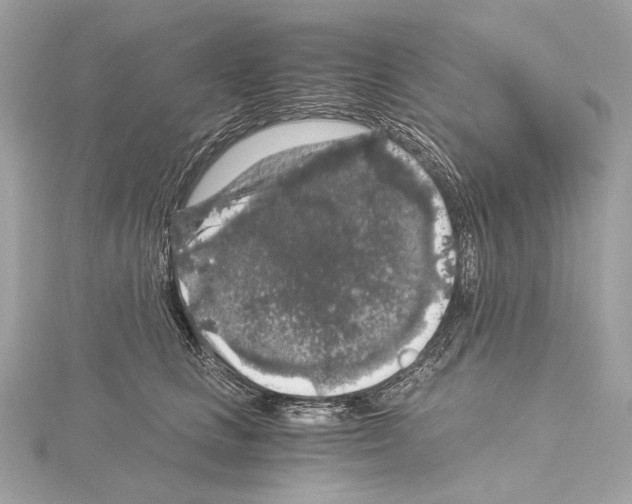 X0000115060661200912071152