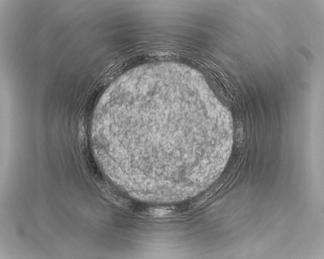 X0000115060662200912071152