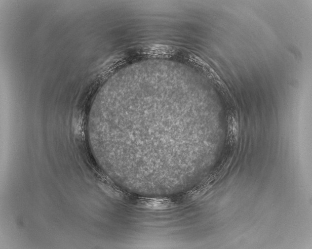 X0000115060663200912071152