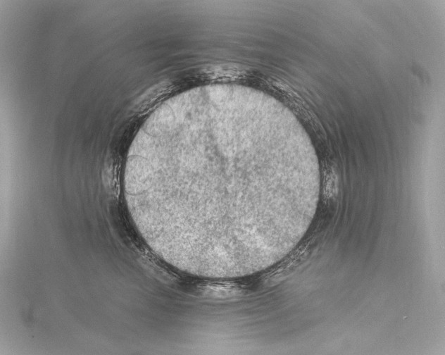 X0000115060666200912071152