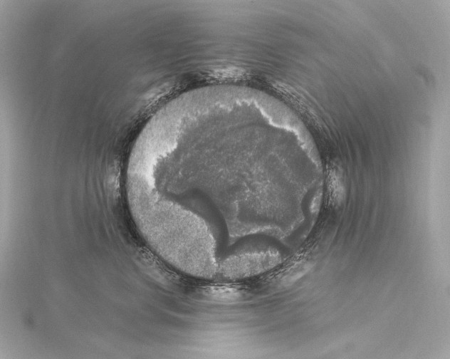 X0000115060668200912071152