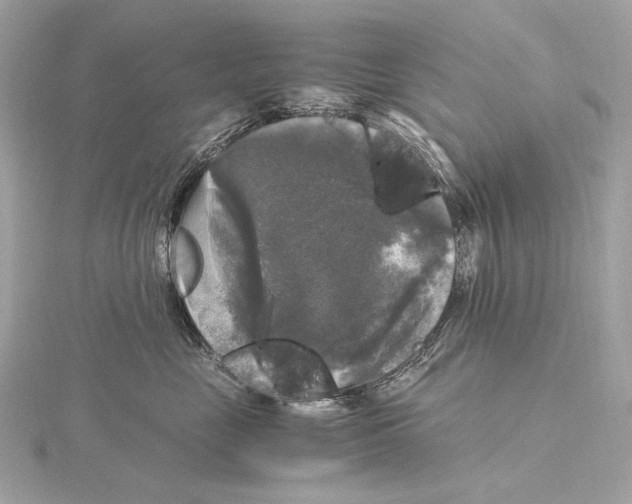 X0000115060669200912071152