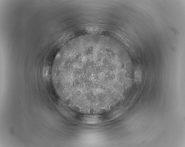 X0000115060671200912071152