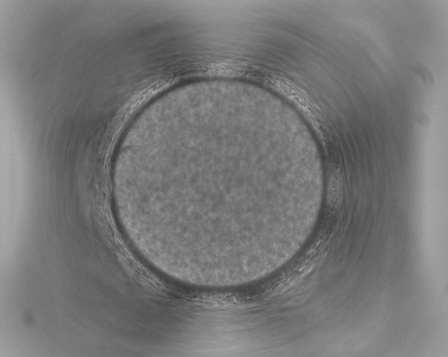 X0000115060673200912071152