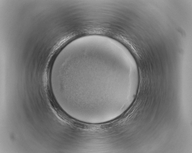 X0000115060674200912071152