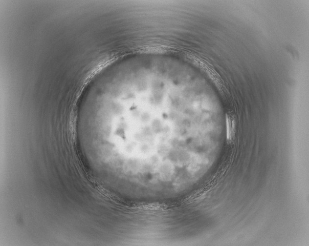 X0000115060675200912071152