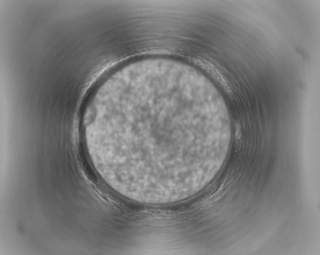 X0000115060676200912071152