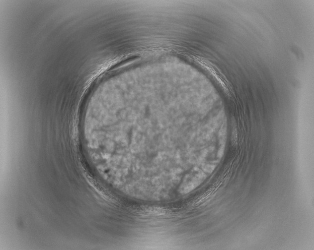 X0000115060677200912071152