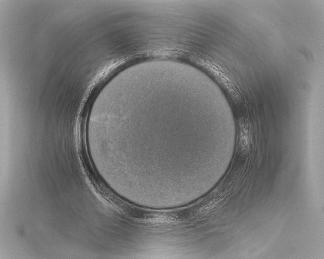 X0000115060678200912071152