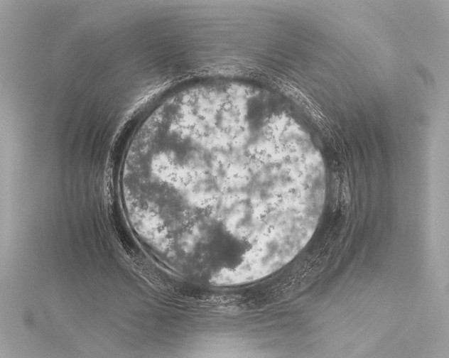 X0000115060680200912071152