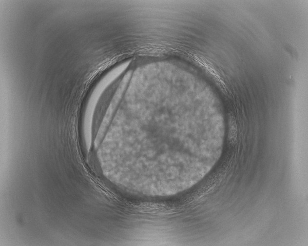 X0000115060681200912071152