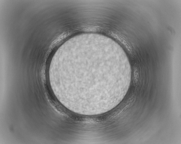 X0000115060682200912071152