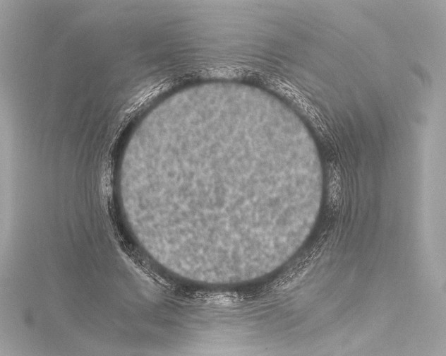 X0000115060683200912071152