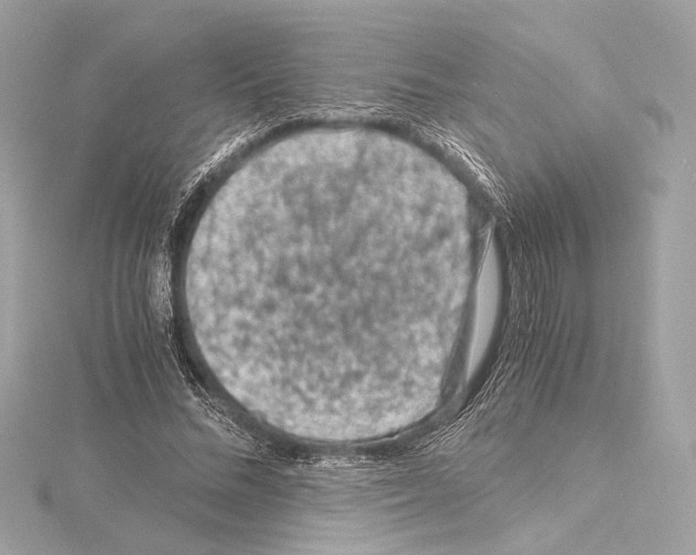 X0000115060684200912071151