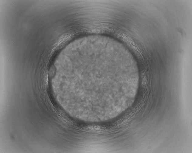 X0000115060685200912071151