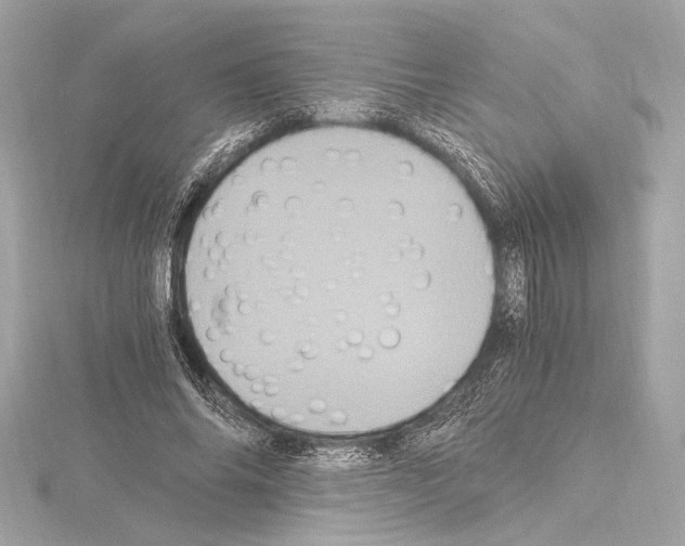 X0000115060686200912071151