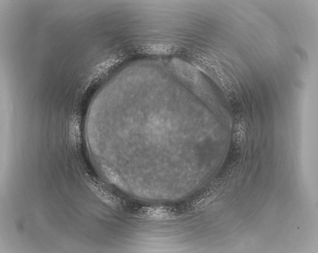 X0000115060688200912071151