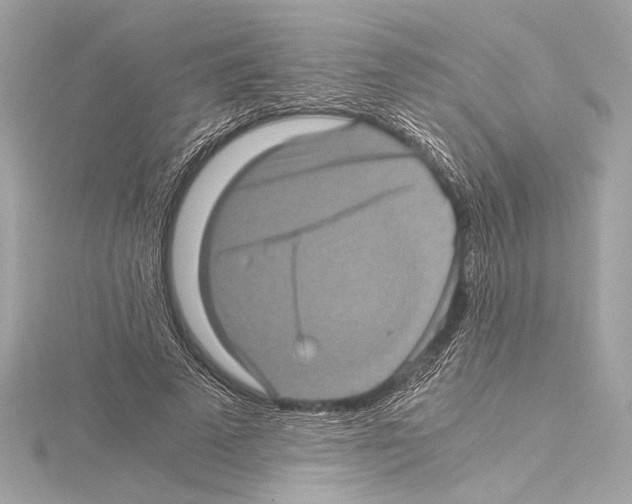 X0000115060689200912071151