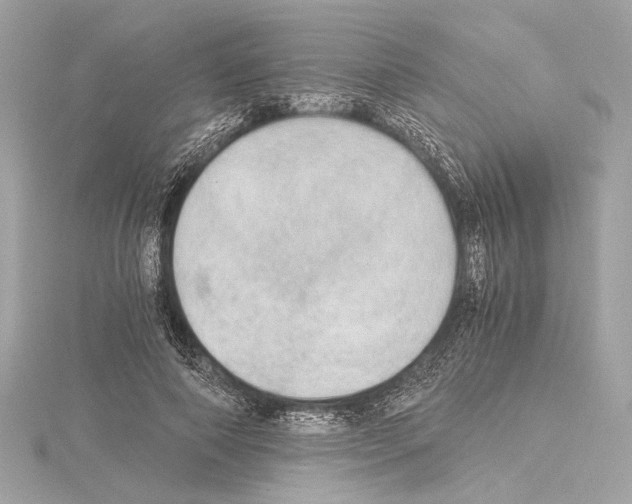 X0000115060690200912071151