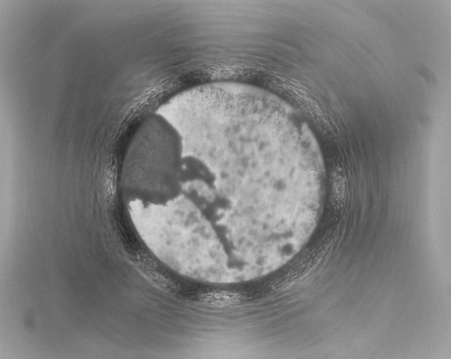 X0000115060691200912071151