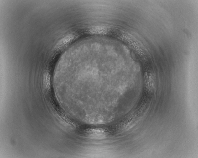 X0000115060692200912071151