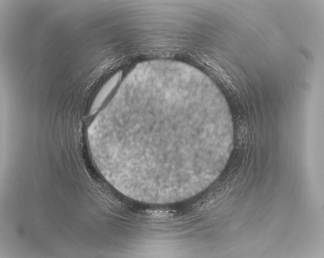 X0000115060693200912071151