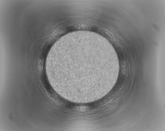 X0000115060695200912071151