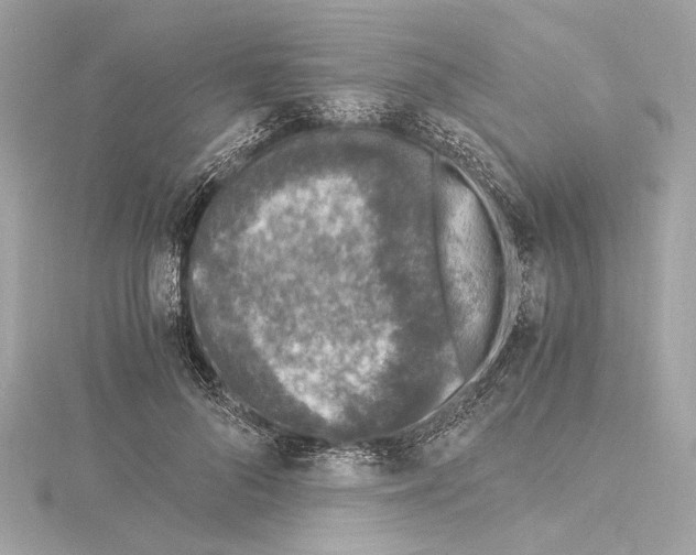 X0000115060696200912071151