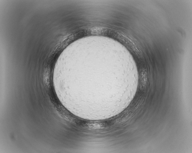 X0000115060698200912071151