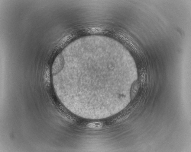 X0000115060700200912071151