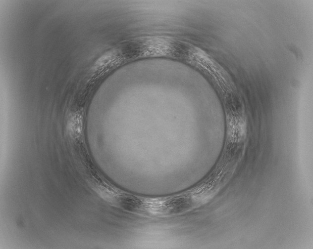 X0000115060701200912071151