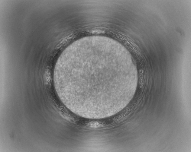 X0000115060704200912071151