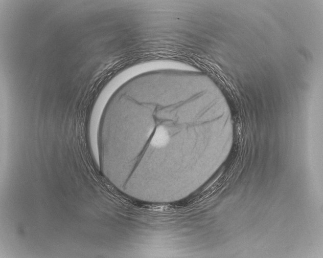 X0000115060705200912071151