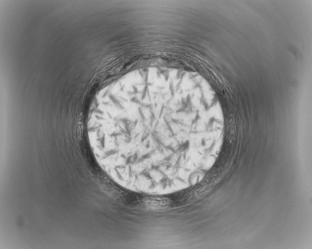 X0000115060707200912071151